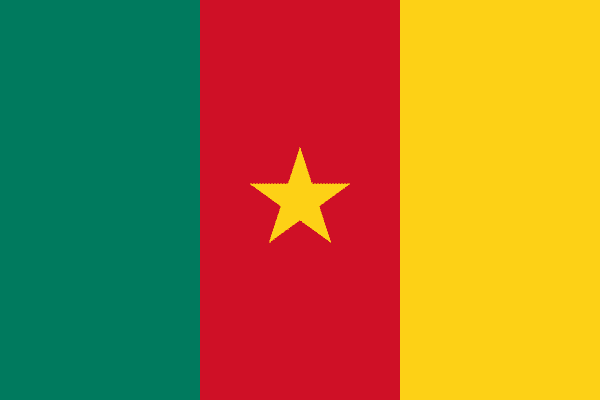 репатриацией умершего в Камерун